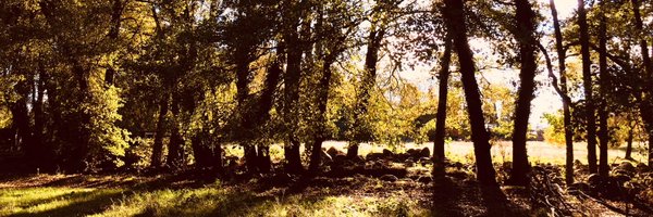 clementecebrian Profile Banner