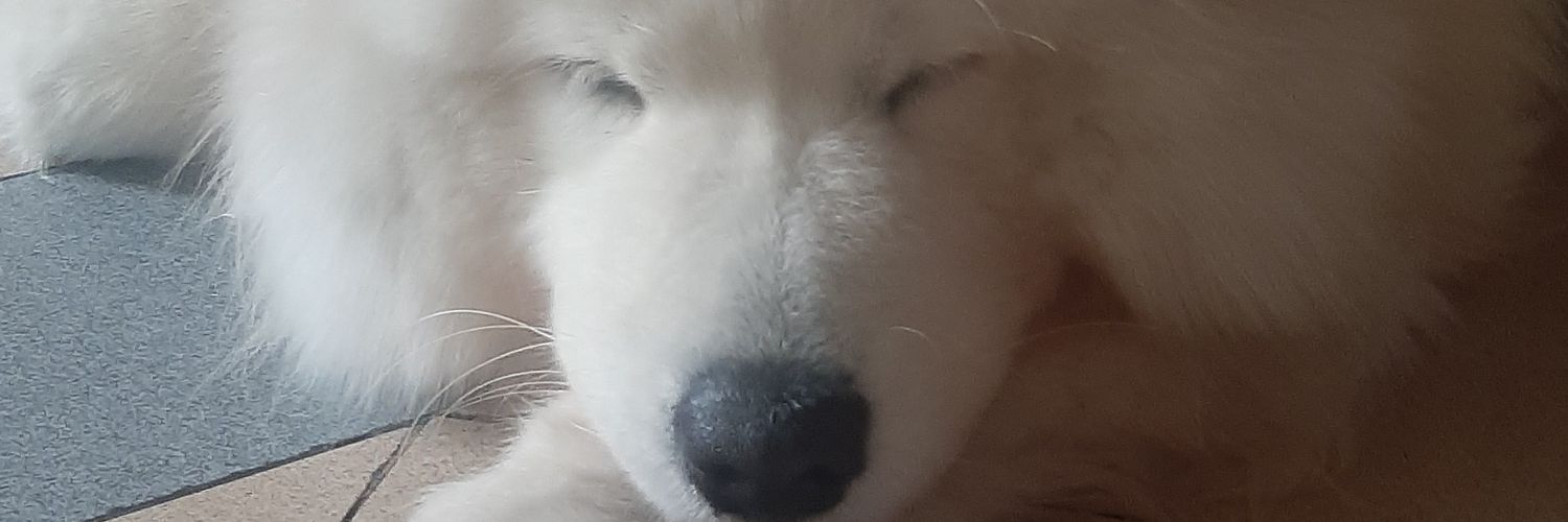 JeremyTheDev's profile banner image