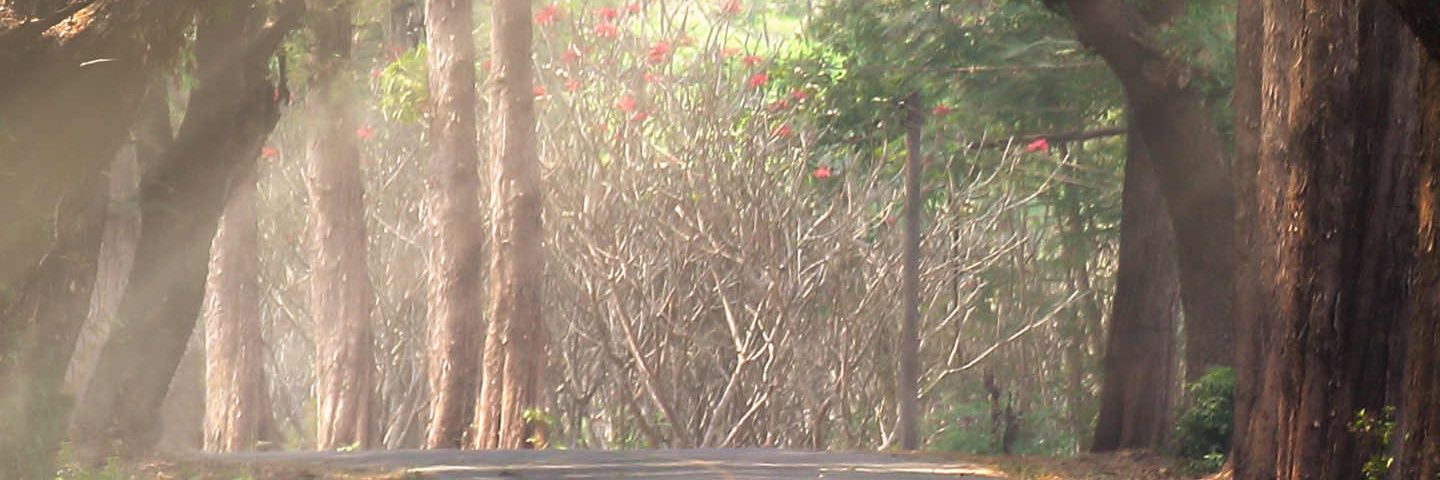 okay_uryt's profile banner image
