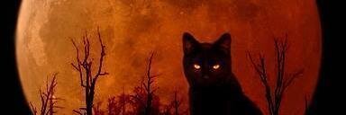 Pelu banner
