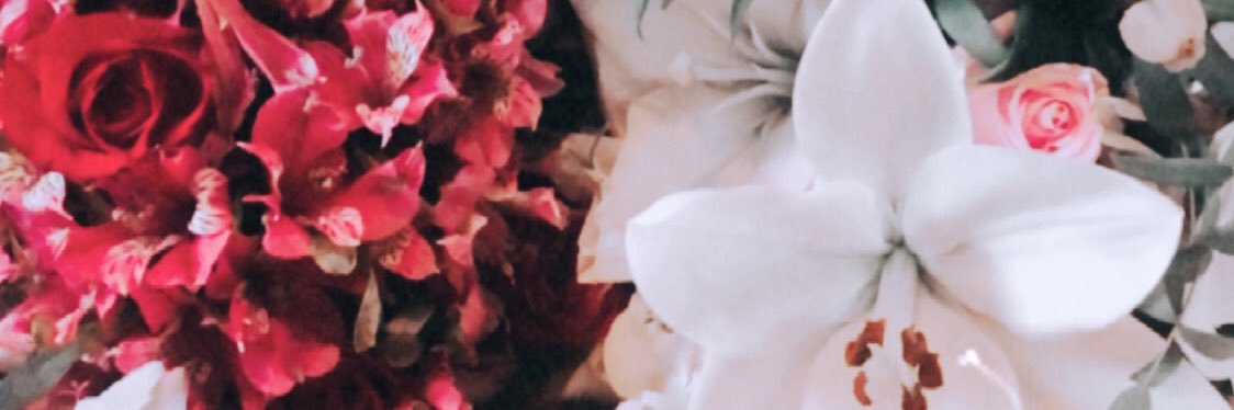 maygtzl's profile banner image
