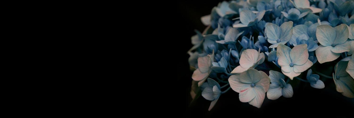 soramaria's profile banner image