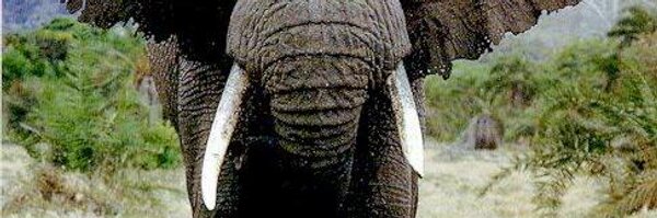 thefactor7 Profile Banner