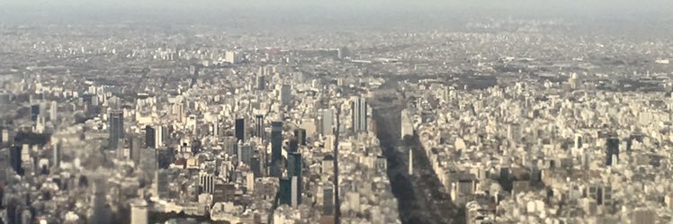 Celeste Wagner banner