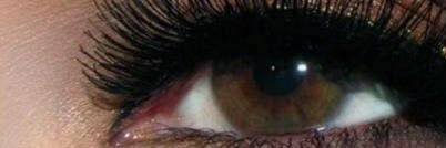 Lia Ciervo ✨'s banner