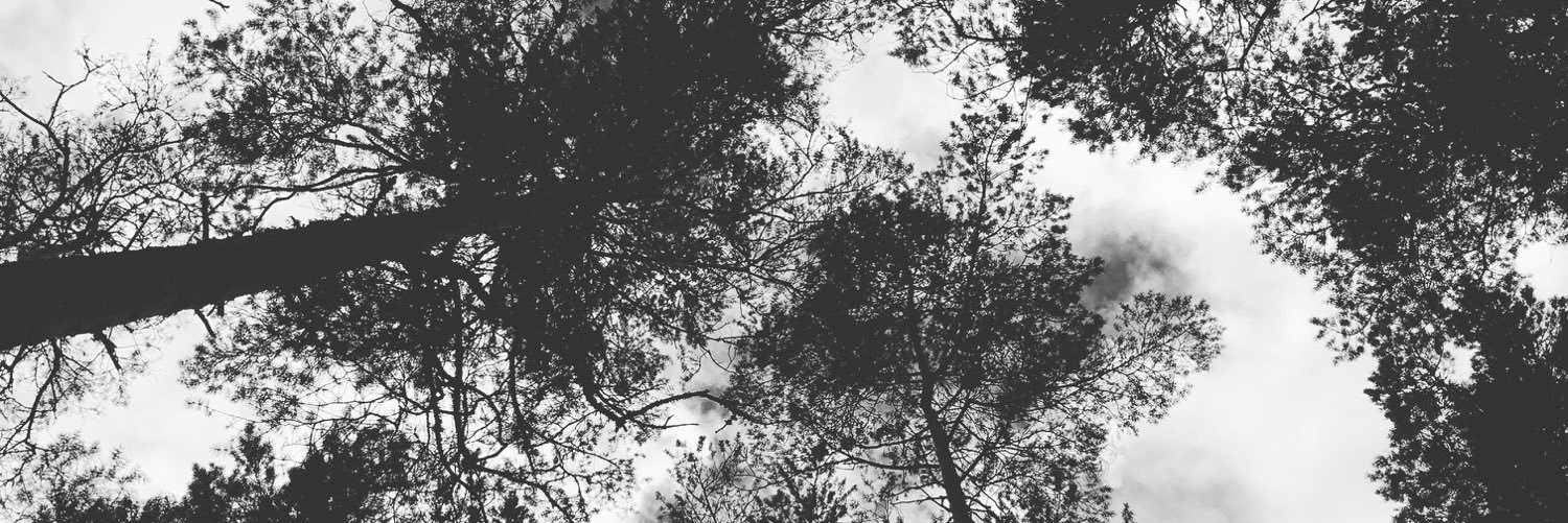 retrobiimer's profile banner image