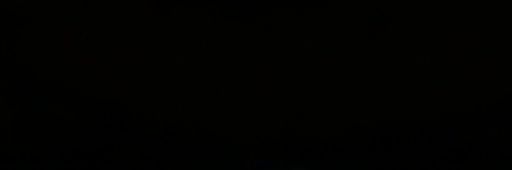 4DOG banner