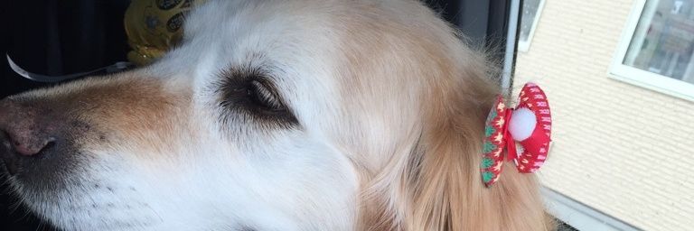 hanape123's profile banner image