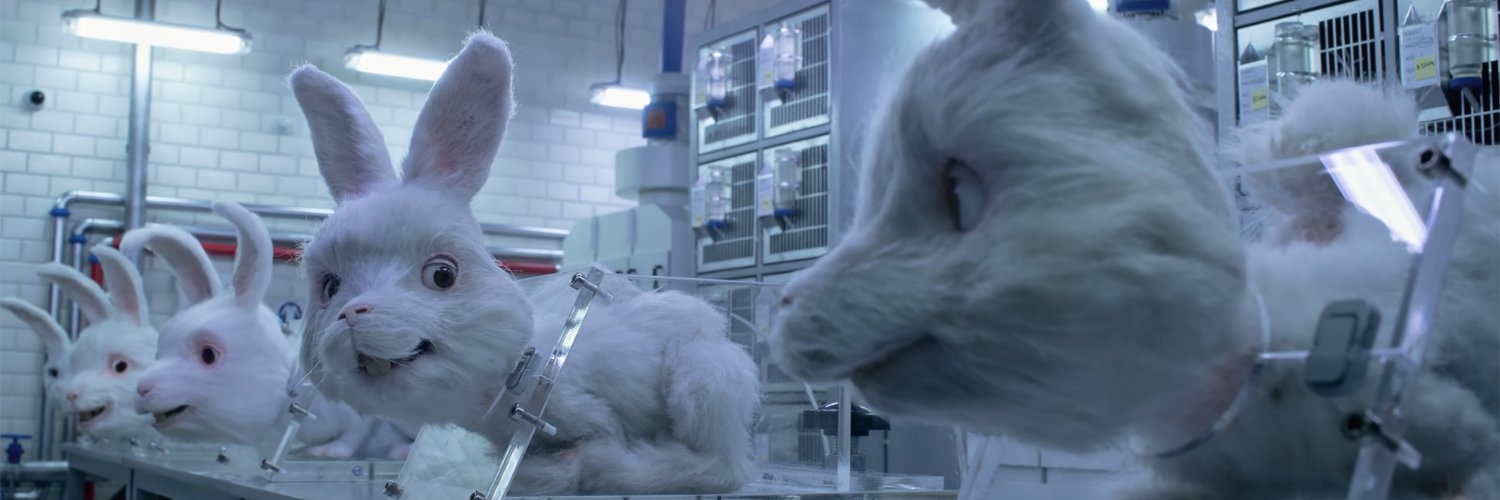 Francesca De Matteis banner