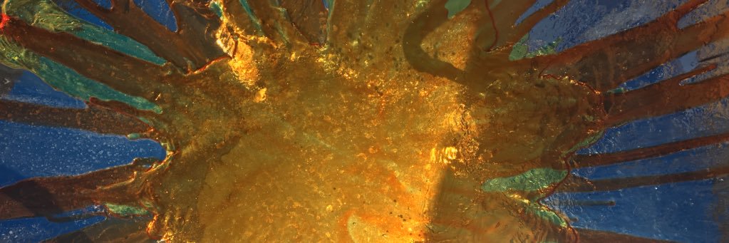 Bayleeee🖤🧡👻 banner