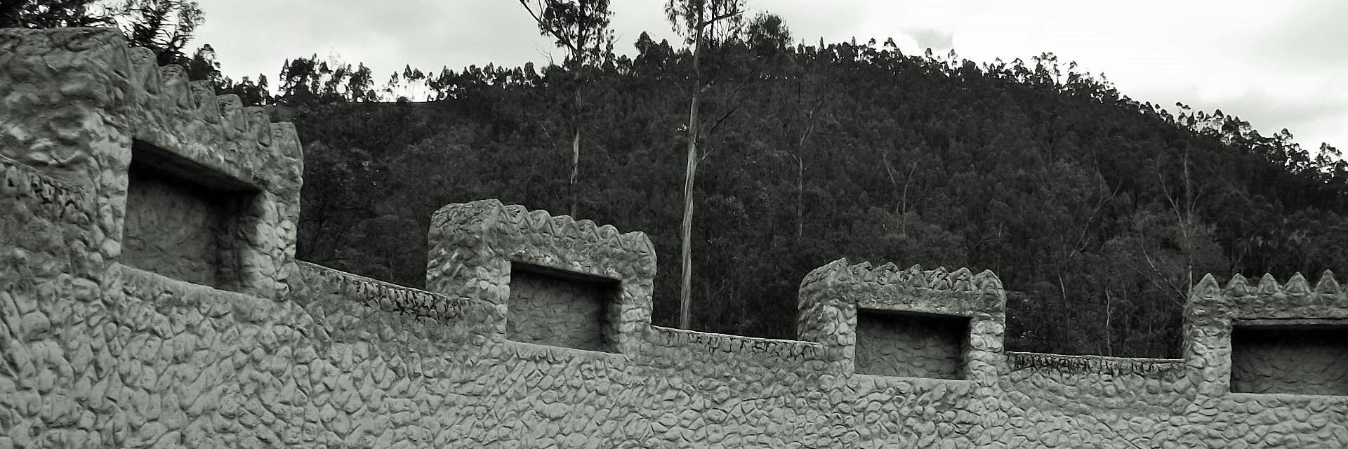 ergotista's profile banner image