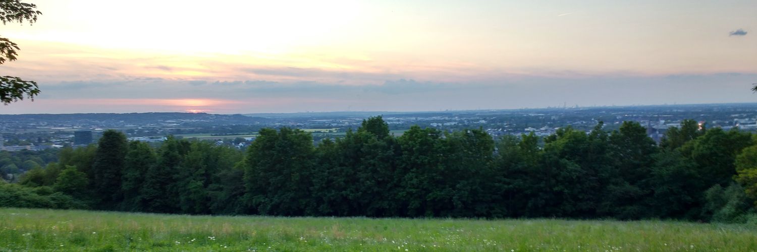 SaschaShire's profile banner image