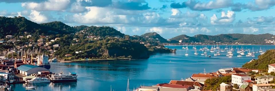 Sandi 🦄🇨🇲 banner