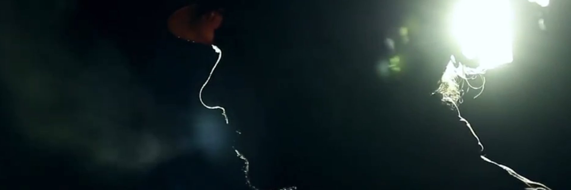 Colibri Vidéo banner