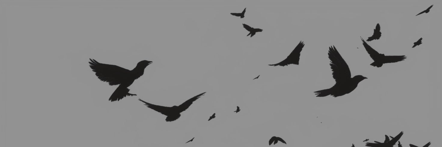 bye530's profile banner image