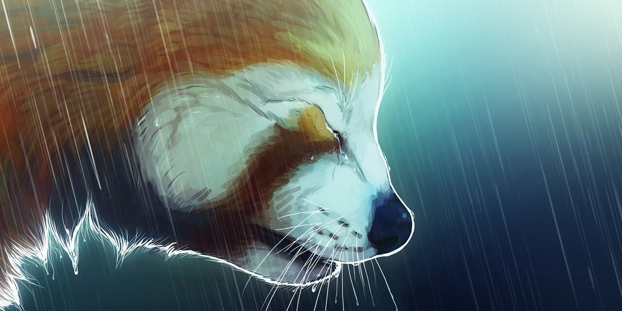redpanda4002's profile banner image
