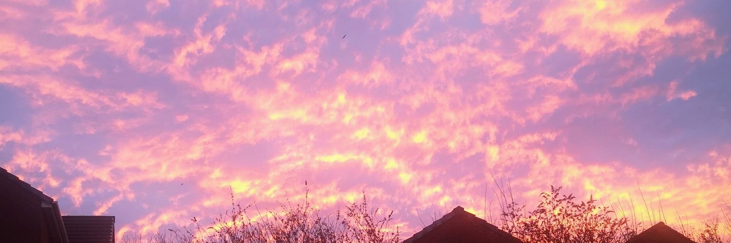 BADWOLF765's profile banner image
