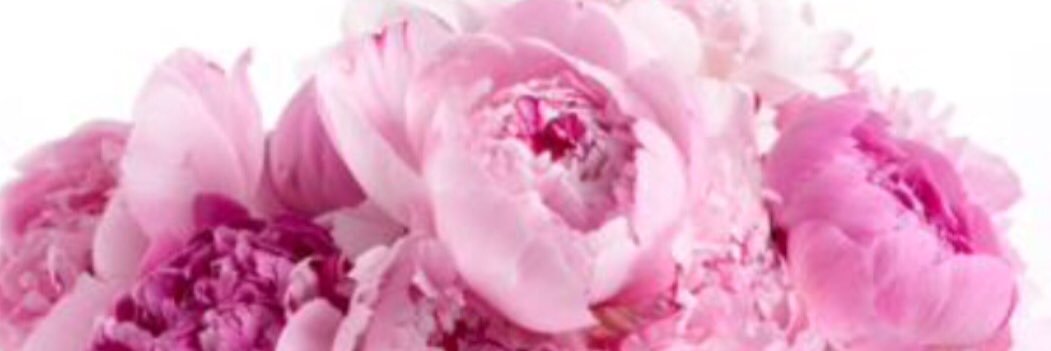 The Queen of Cardio banner