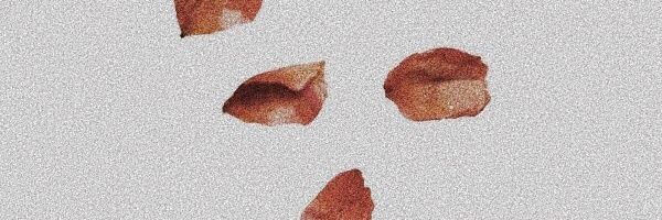 dimples_aang's profile banner image