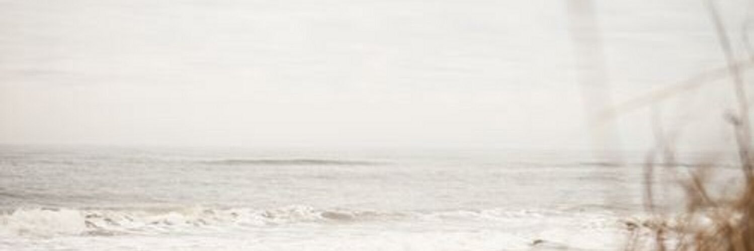 Azul Maldonado banner