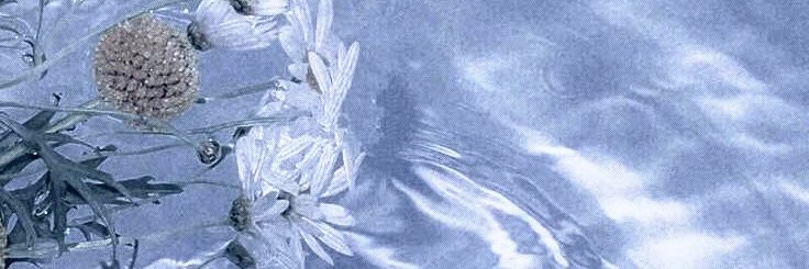 _jaidamartinez's profile banner image