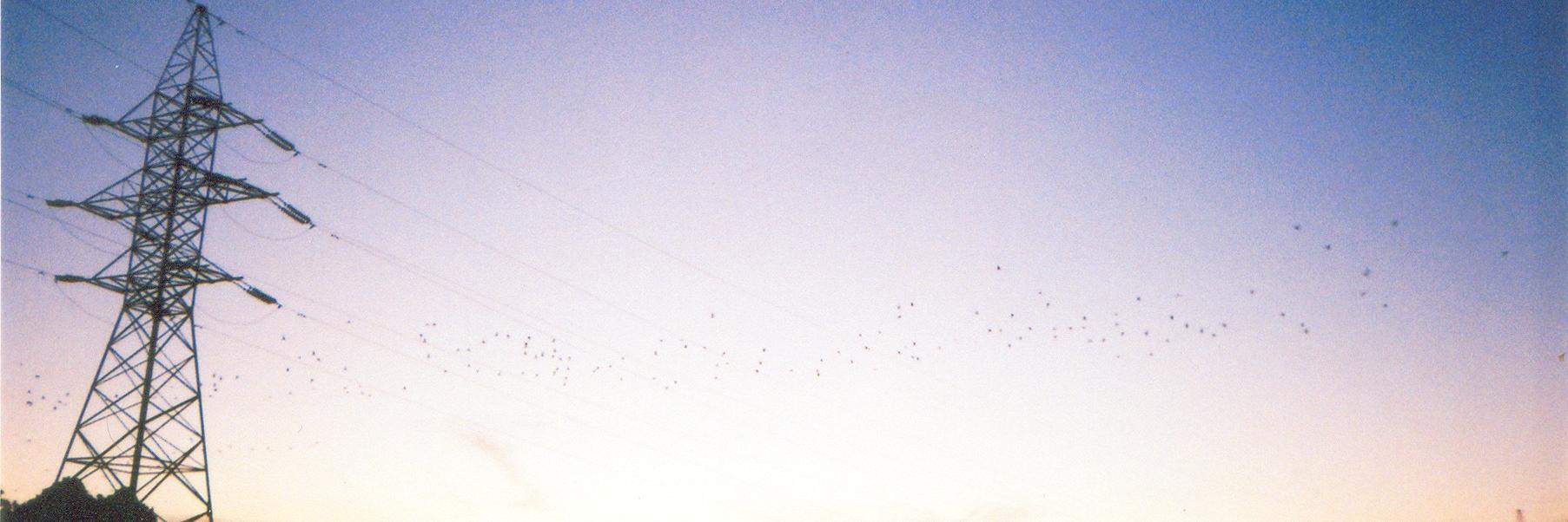 wavy_ashnoet's profile banner image