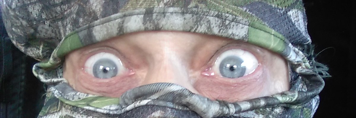 Curtisdabrain banner