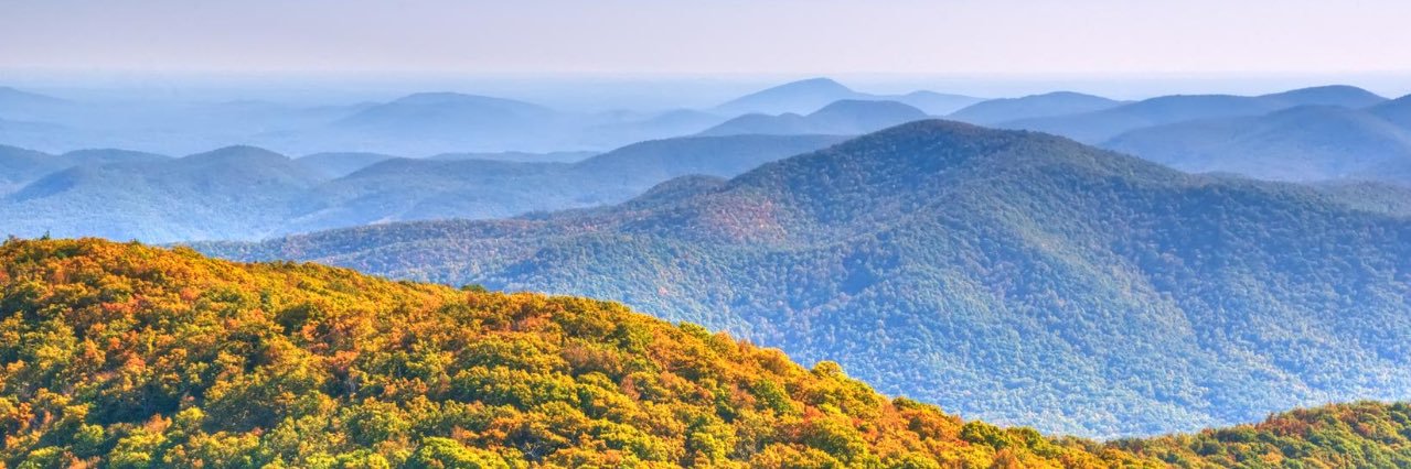 branchbites's profile banner image