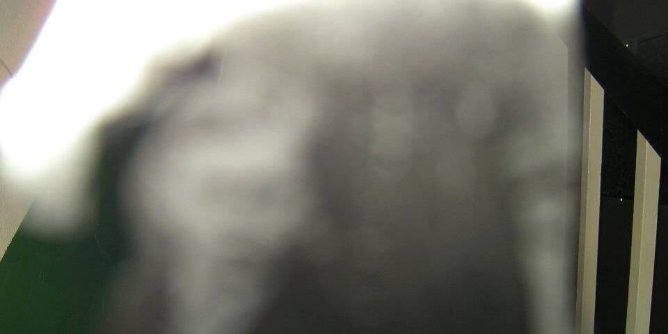 The3Gsofhunters's profile banner image