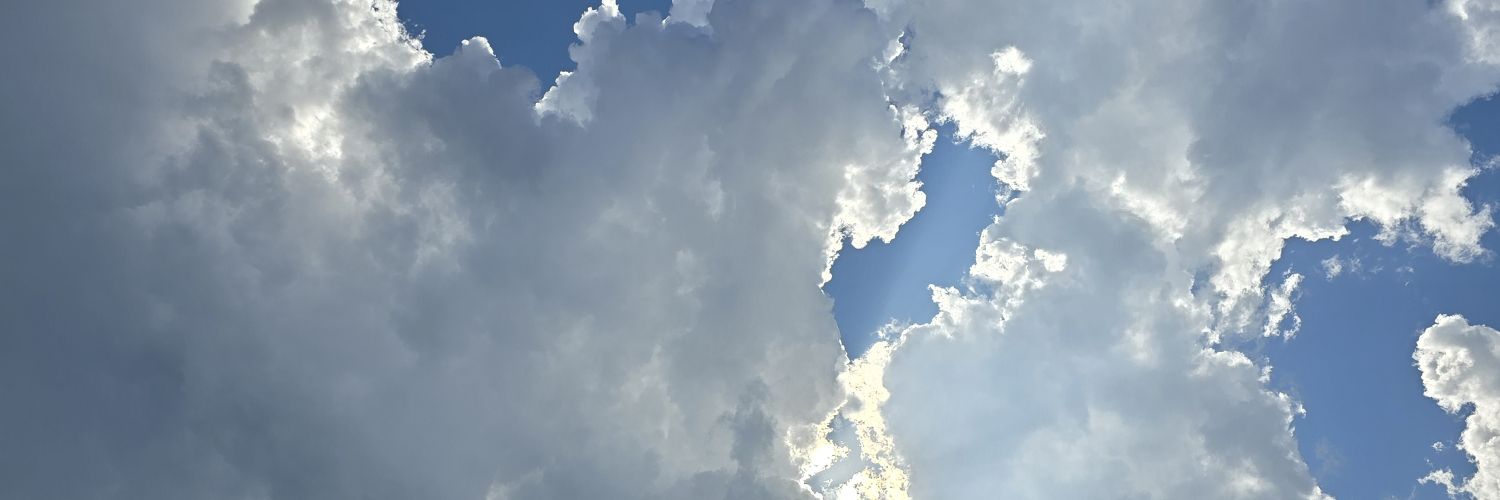 pasadoply's profile banner image