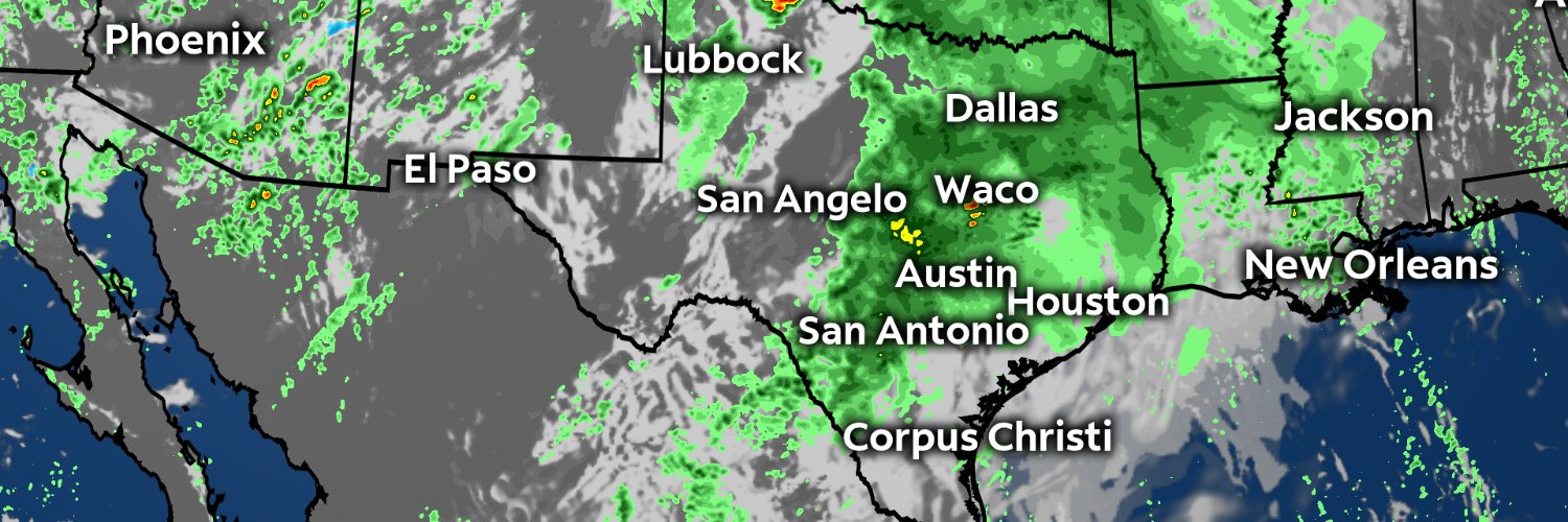 Megan Campbell banner