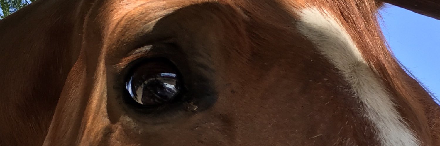 nojackson's profile banner image