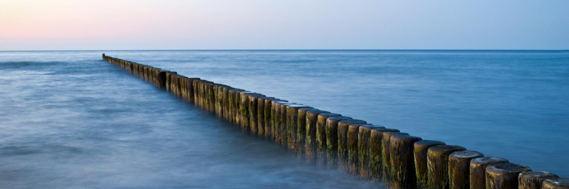 Ignacio Tarragó banner