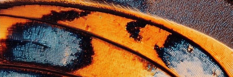 A banner