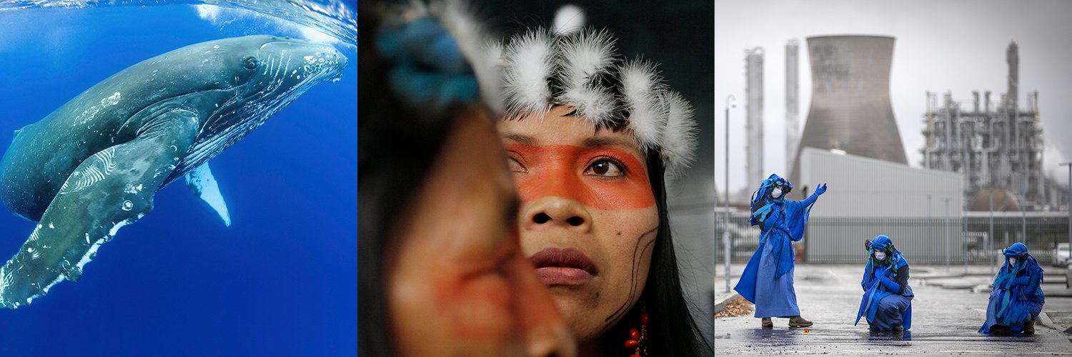 DW Global Ideas & Environment banner