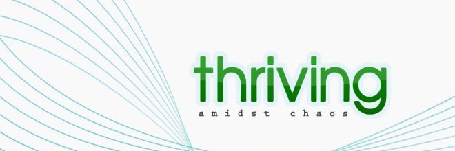 Susan R. Johnson | ThrivingAmidstChaos! + WBB fan banner