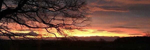 daveandertonxx Profile Banner