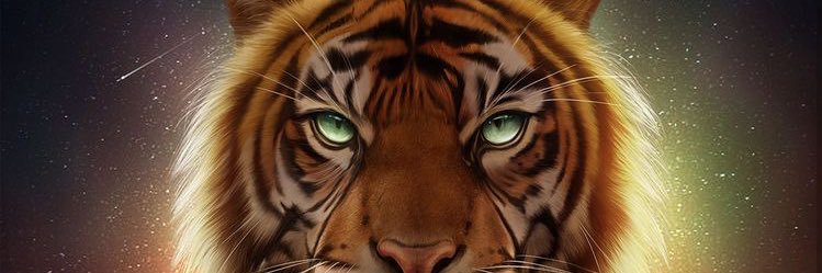 moshiekh's profile banner image