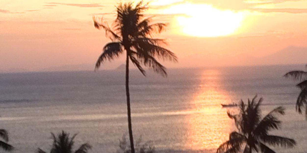 Christopher Davies banner