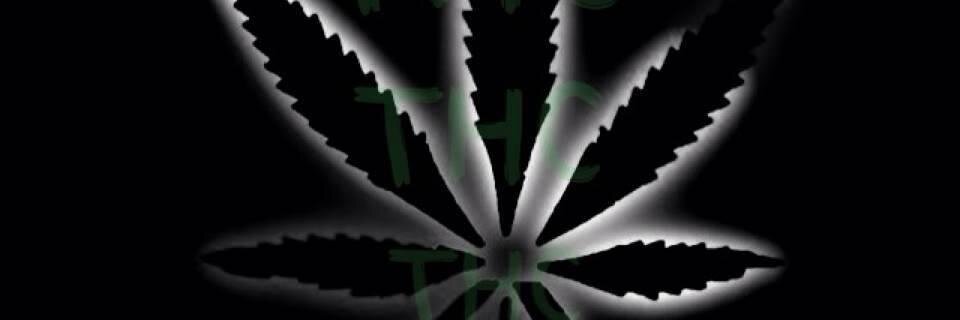 THCDaMovement's profile banner image