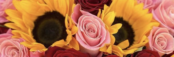 zayra_ecr's profile banner image