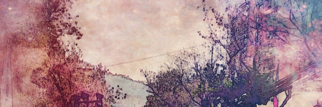 01101100Cat's profile banner image