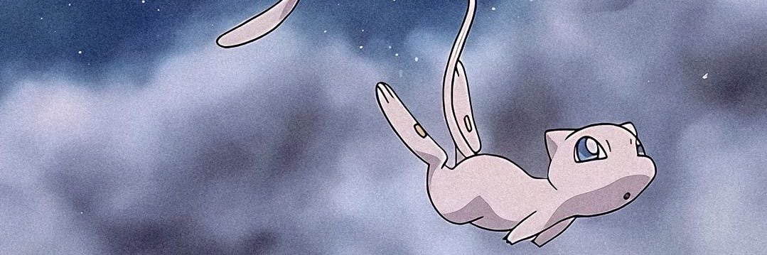 🌸💫erin 🔜 houston banner