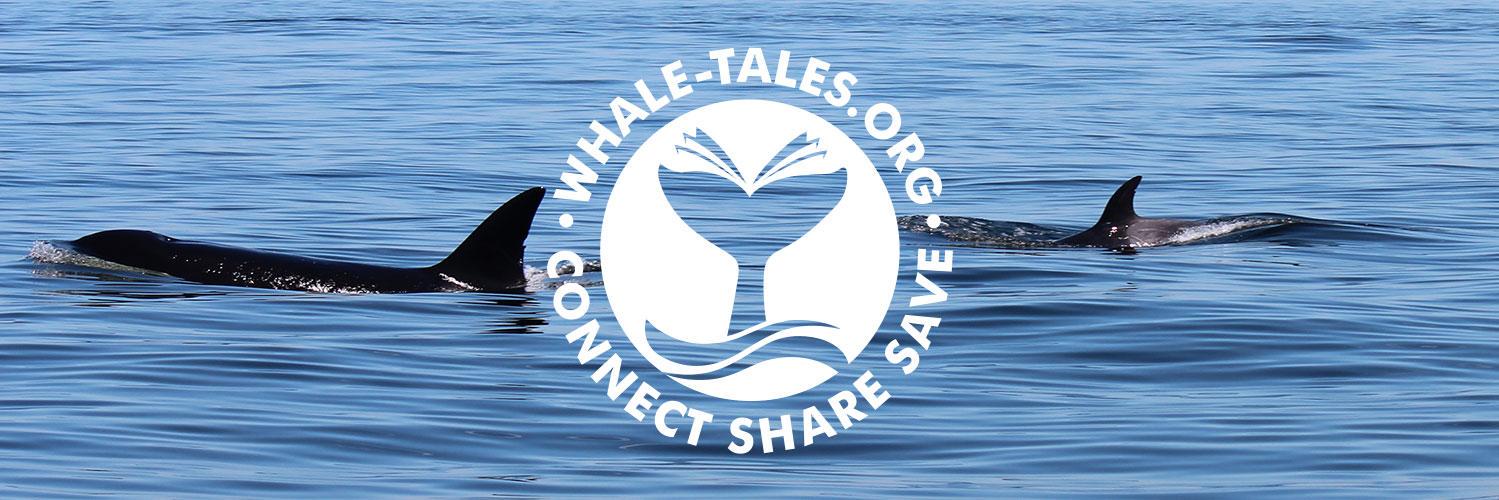 Whale Tales🐳🐋🐬 banner
