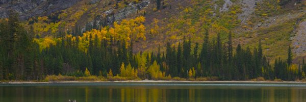 DavidLittonSFDC Profile Banner