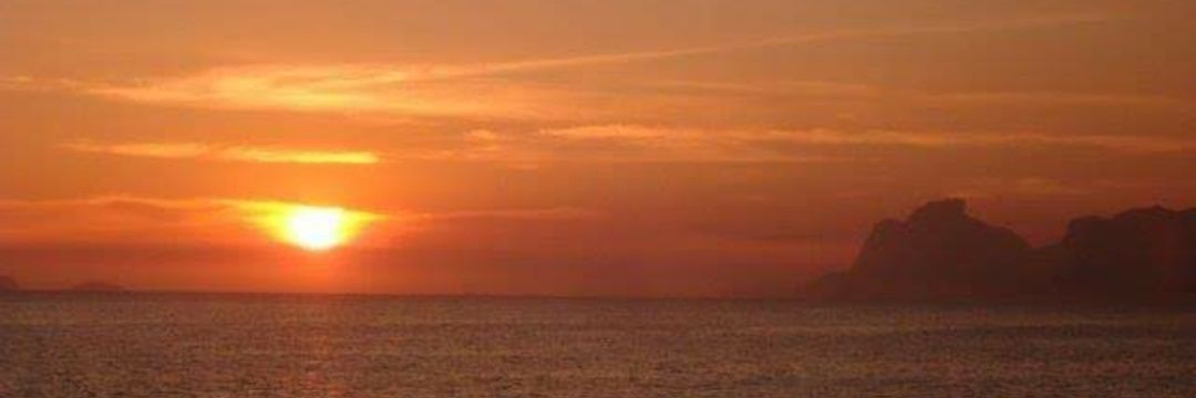 sylviampaula2's profile banner image