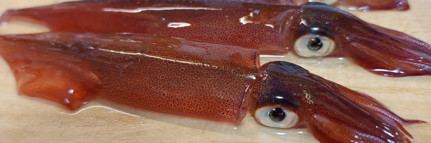 || じんすけ(Jinsuke) || banner