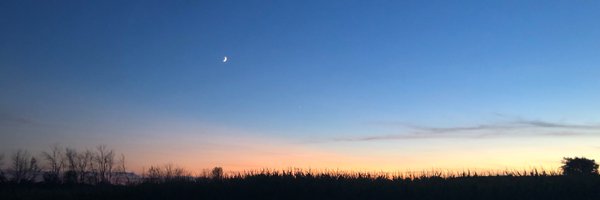 Amberson Profile Banner