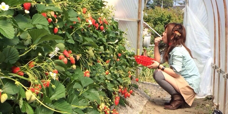 riyu3420's profile banner image