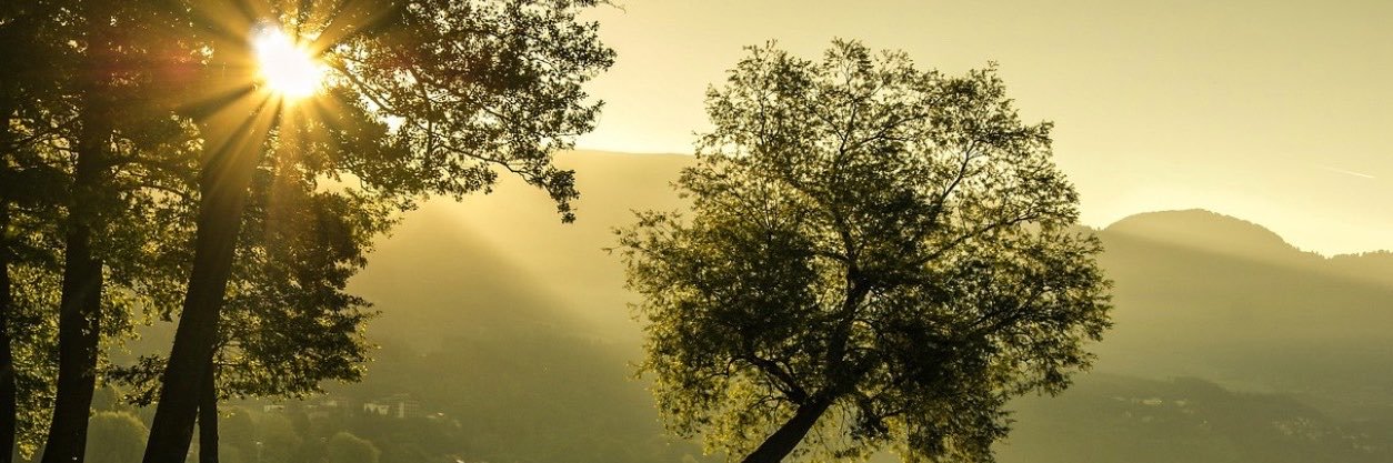 m_Asln_co's profile banner image